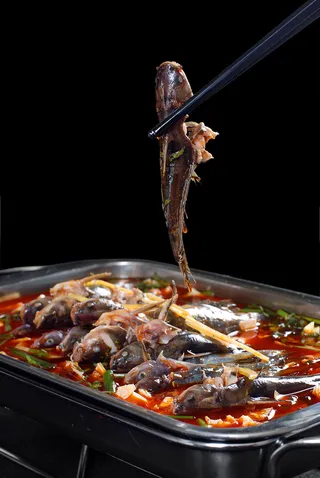 XCXC1601河水三角蜂