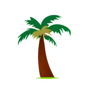 椰子树棕榈树免抠