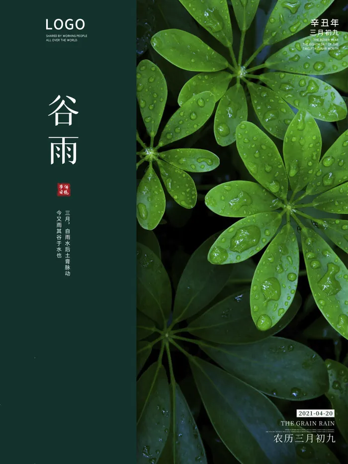 谷雨海报二十四节气谷雨广告