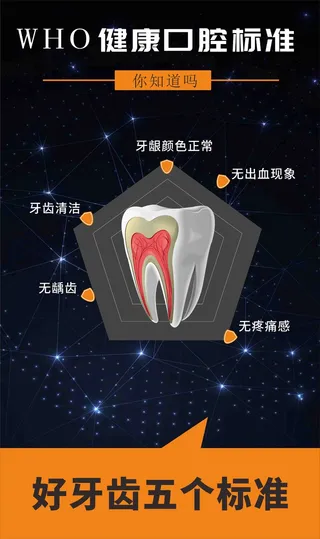 牙齿五大标准 牙齿矢量图