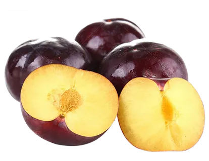 黑布林现代农业