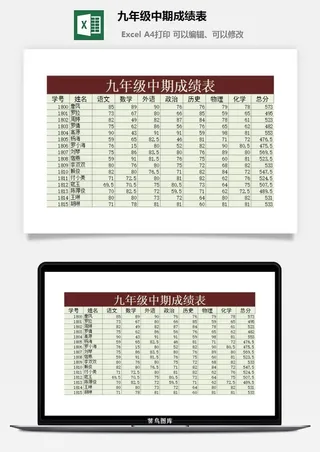 九年级中期成绩表excel模板