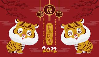 虎年抽象老虎插画新年新春创意海报封面