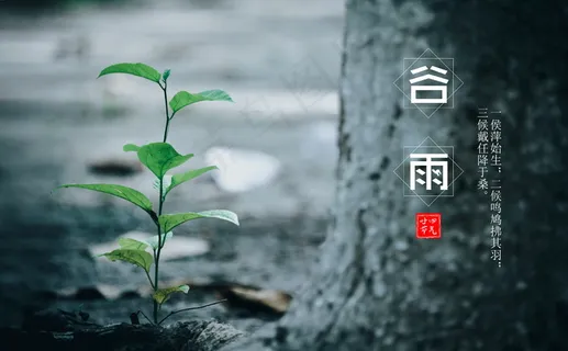 谷雨物候图片 谷雨物候图片