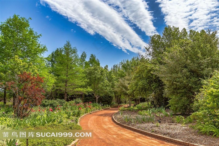 树林中小路唯美风景图片