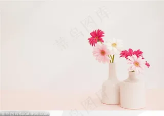 两只白色的瓷花瓶和鲜花