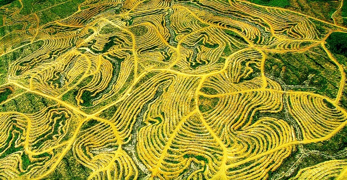 线条流畅简洁的视觉体验