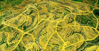 线条流畅简洁的视觉体验