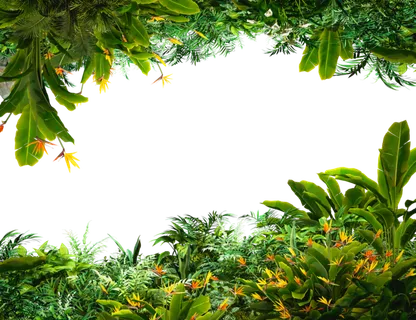 树叶 树木 草 植物 丛林 森林 棕榈树 衬套 花朵 自然 树叶 树木 草 植物 丛林 森林 棕榈树 衬套 花朵 自然