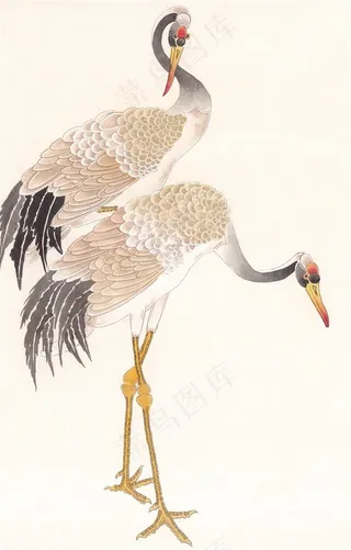 国画花鸟绘画摄影图片