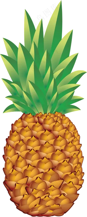 PNG 菠萝 