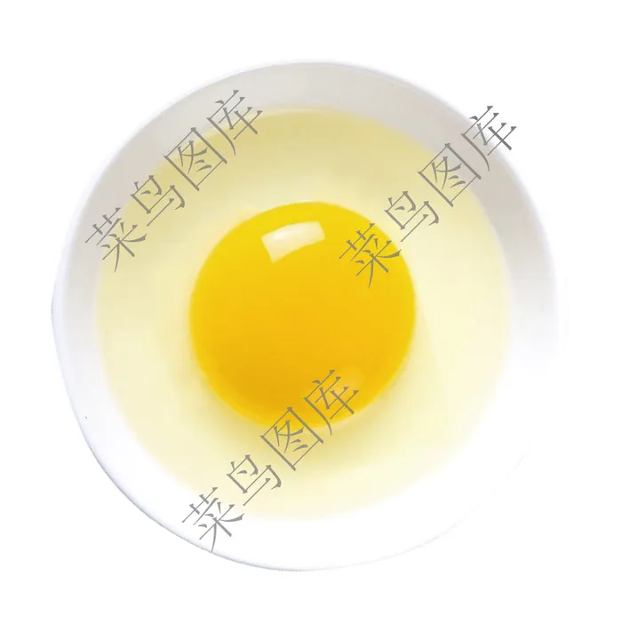 鸡蛋高清图ai矢量模版下载