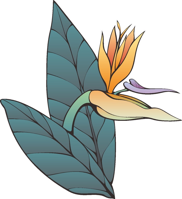 卡通动漫动画鲜花花草手绘海报名片免扣图片素材矢量图cdr矢量模版下载