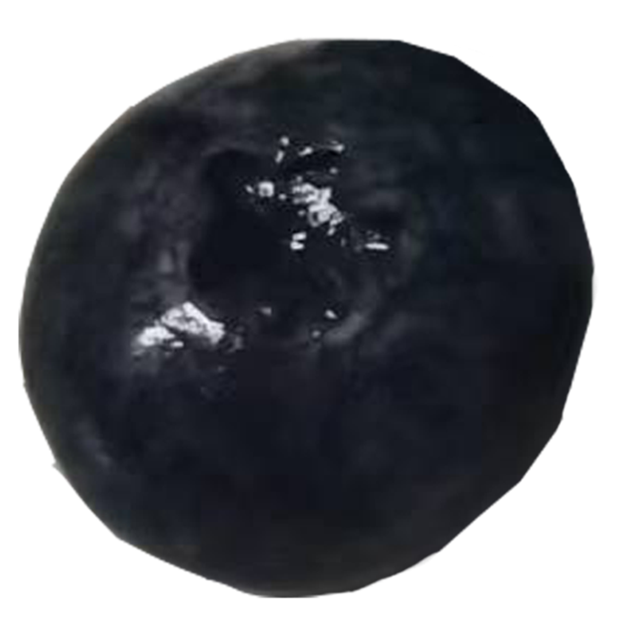 单颗蓝莓颗粒果切免抠实物实拍摄影元素素材