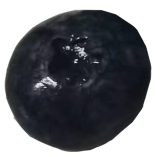 单颗蓝莓颗粒果切免抠实物实拍摄影元素素材