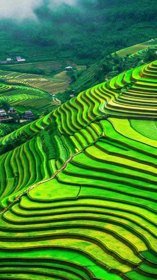 春天唯美绿色梯田种植，乡村小屋，谷雨摄影图