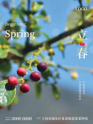 24节气立春春季新春春天海报模板PSD分层设计素材源文件模板