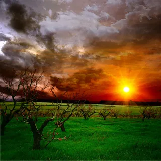 夕阳下的草原图片下载