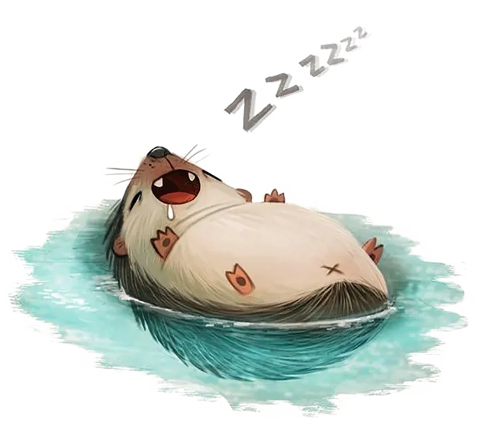 水獭睡觉卡通