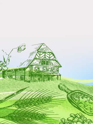 绿色田野农田木刻