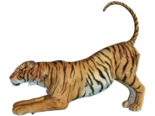 老虎动物园百兽之王虎王野生老虎动物