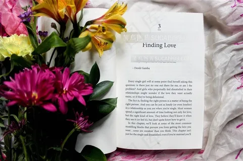 彩色书籍文艺清新一本打开的英文书本