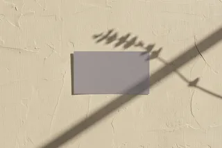 文艺光影单张名片样机