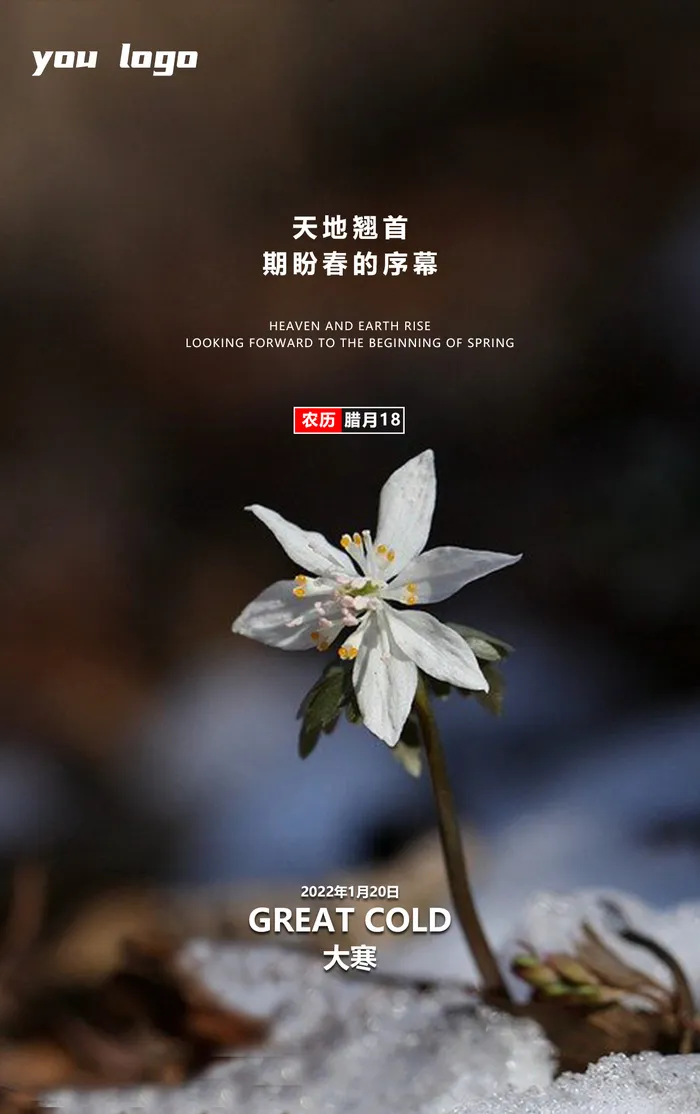 大寒节气宣传(1242x1977)psd模版下载