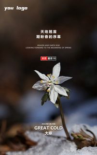大寒节气宣传