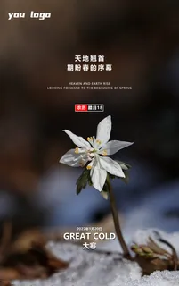 大寒节气宣传