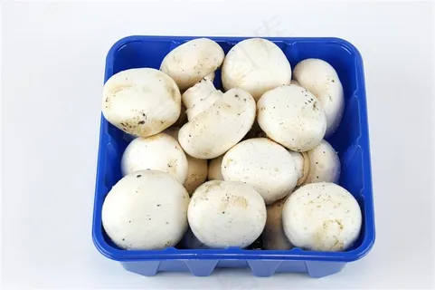 蓝色储物箱中的白蘑菇高清图片 蓝色储物箱中的白蘑菇高清图片