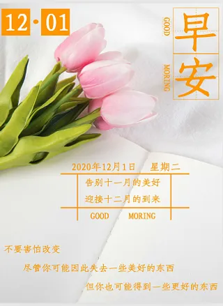 简约早安你好海报