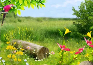 油画花卉花鸟背景