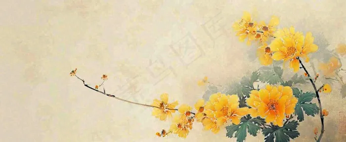 温馨纹理橙色花朵鲜花蝴蝶意境唯美，中国风(1712x704)
