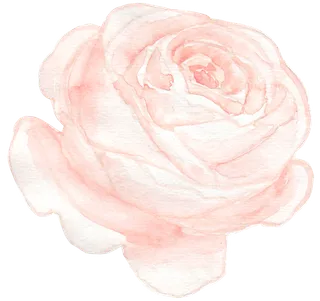 唯美森系手绘水彩花朵 免抠