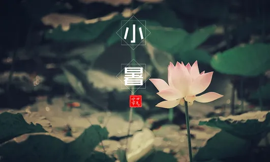 小暑节气桌面壁纸图片 小暑节气桌面壁纸图片
