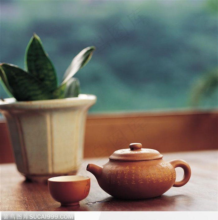 盆景旁的茶具