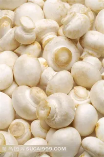 新鲜蔬菜蘑菇高清图片