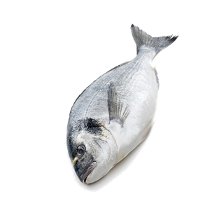 鱼类(9)海鲜超市商品红酒白底图免抠实物摄影png格式图片透明底