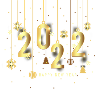 2022新年艺术创意字体虎年3D立体标题数字文字png免抠字素材