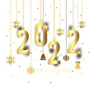 2022新年艺术创意字体虎年3D立体标题数字文字png免抠字素材