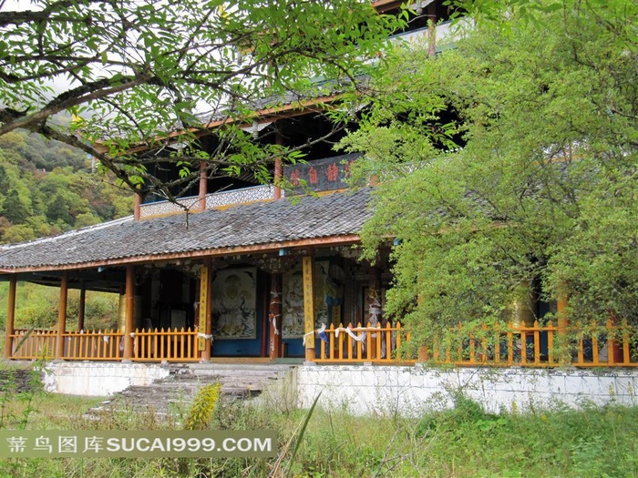 中国古典式建筑树木和草地