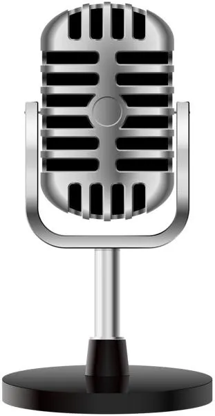 麦克风 PNG免抠(311x600)