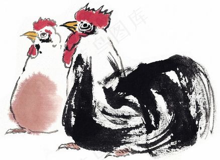 野生动物欣赏jpg素材