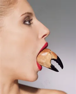 嘴巴特写美图素材