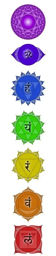 脉轮 PNG免抠(189x850)