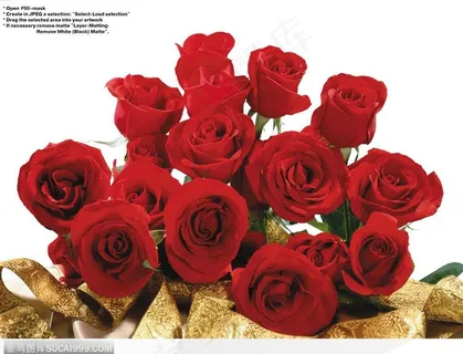 玫瑰花束-漂亮的红色玫瑰