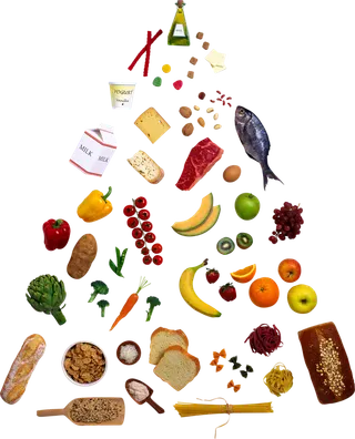 现代农业食物金字塔