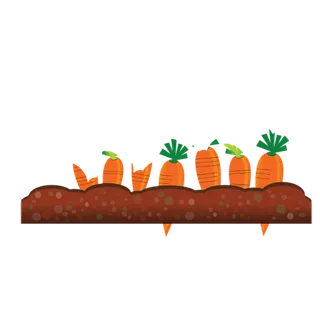 种植胡萝卜现代农业