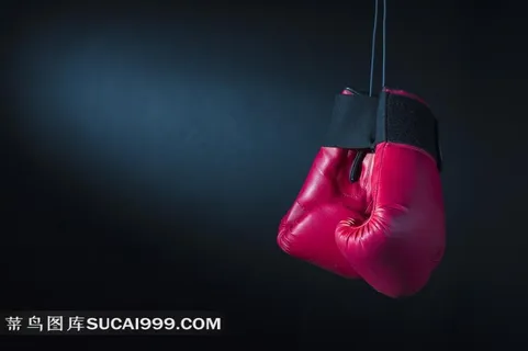 拳击系列 - 美丽的拳套